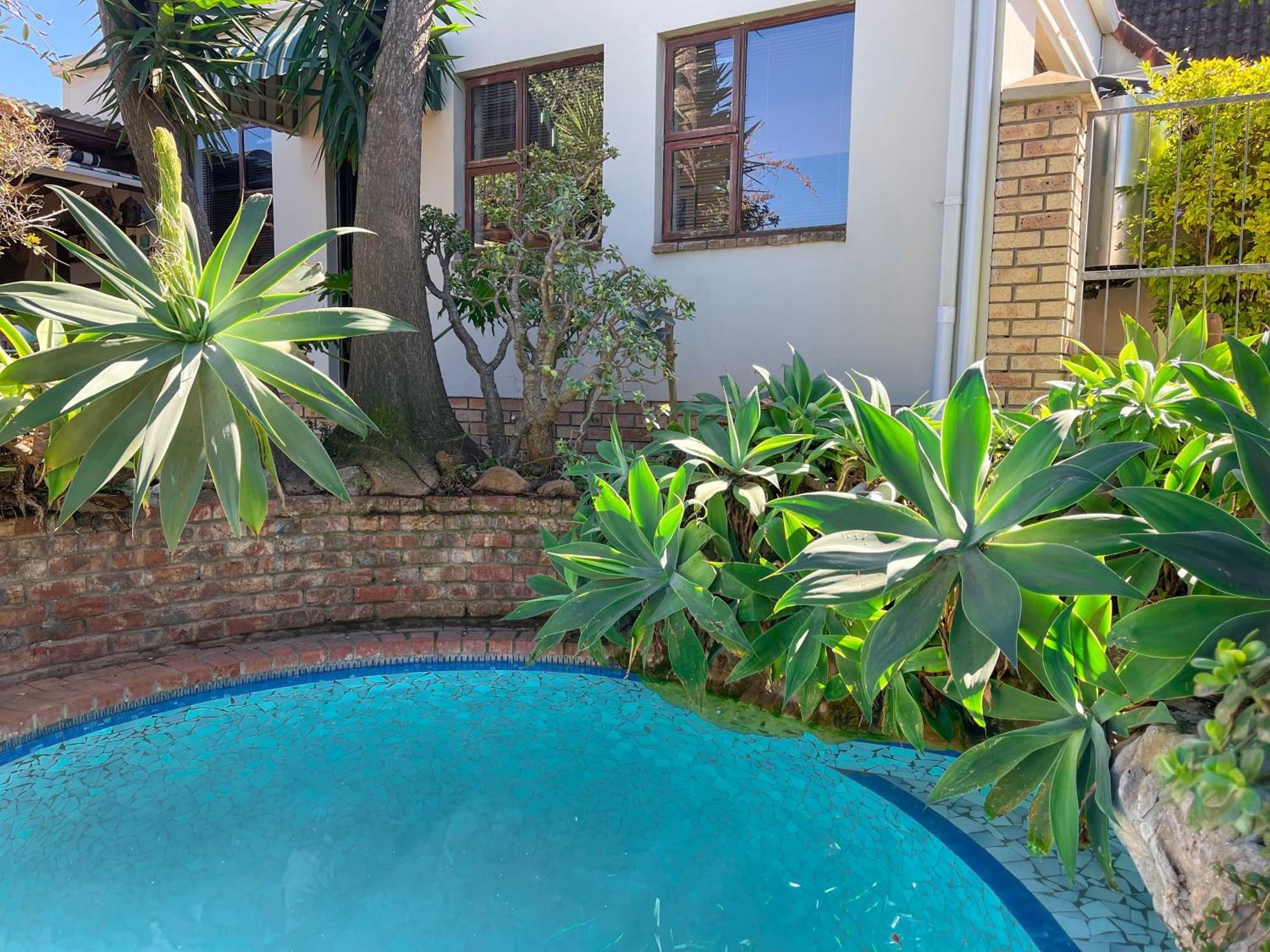 Albert Road Garden Guest House Port Elizabeth Luaran gambar